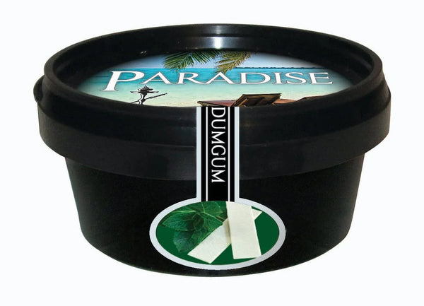 Paradise Dum Gum Steam Stones 100gr Gum Mint - nicotinevrije shisha steentjes in kauwgom-muntsmaak