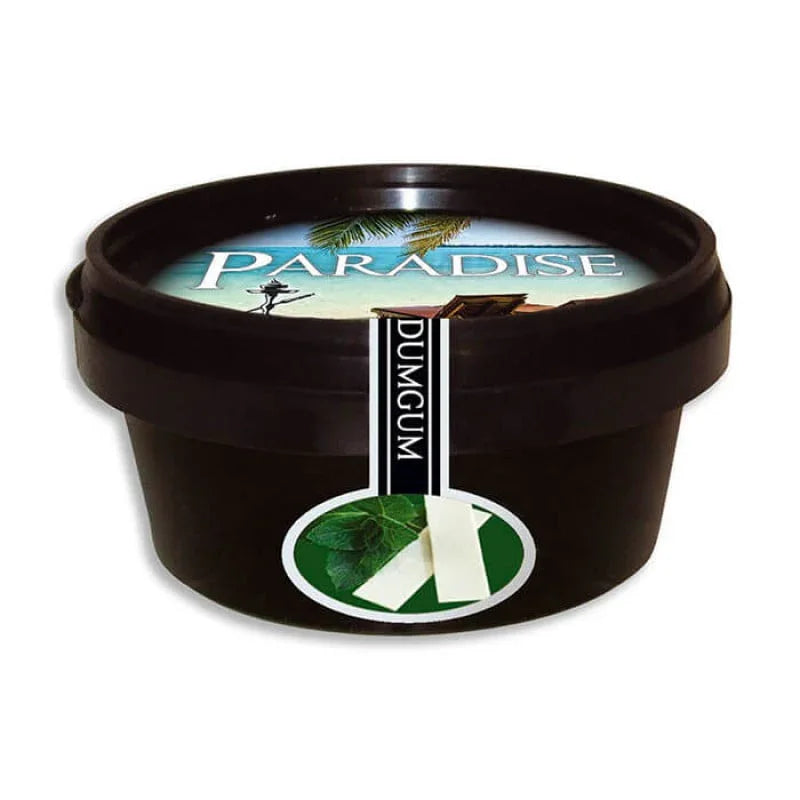 Paradise Steam Stones Dum Gum 100gr - frisse Gum Mint smaak voor de waterpijp