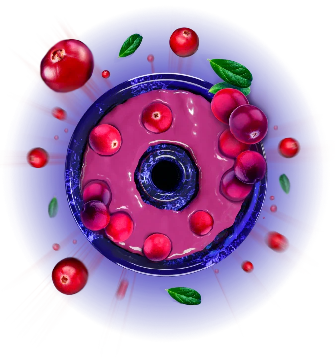 Space Smoke Cranberry Strike Basic Line - shisha-pasta naast tabakskop voor waterpijp gebruik